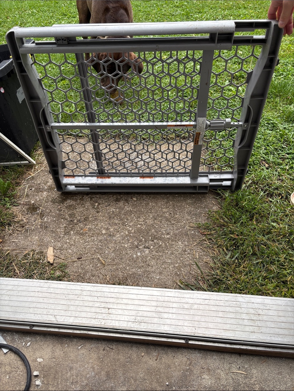 Adjustable Gray Pressure-Mount Pet Gate for Home Use
